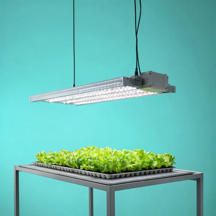 Professional linear LED horticultural luminaire